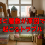 ゴミ屋敷が原因で起こるトラブル