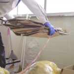 【今すぐ片付けたい】時間がない人のためのゴミ屋敷片付け術｜最短解決のコツとプロの活用法